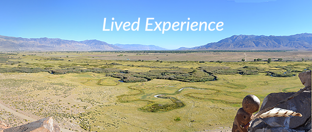 POINT-OF-VIEW is Live